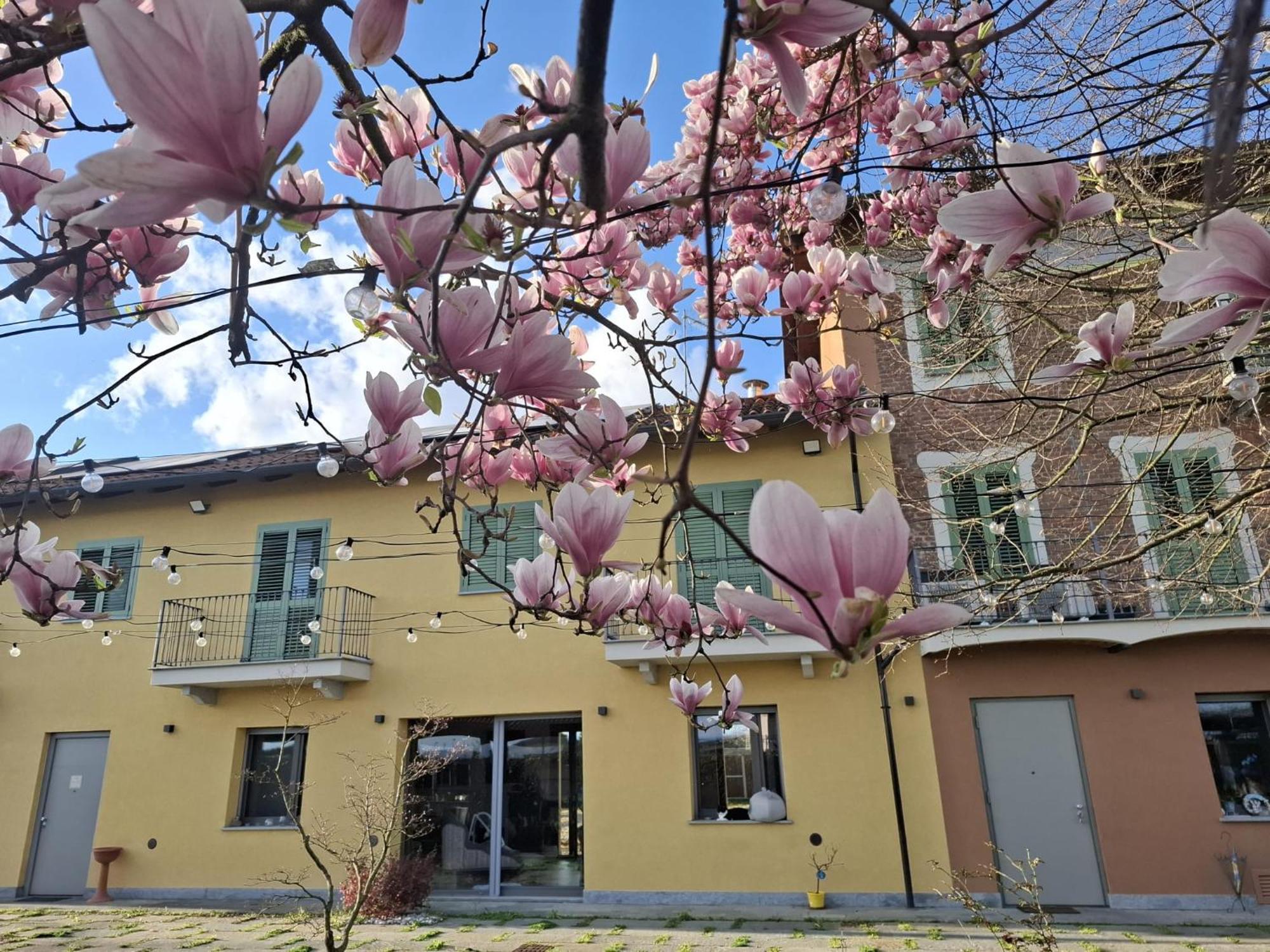 Villa Albina La Loggia Luaran gambar