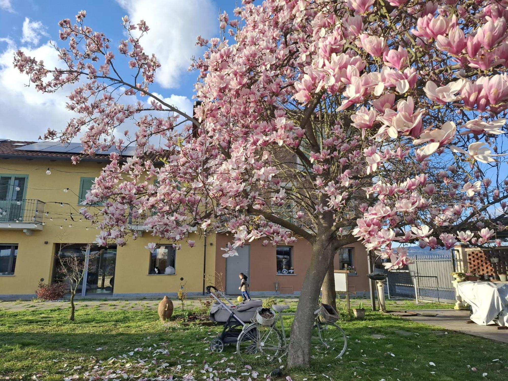 Villa Albina La Loggia Luaran gambar